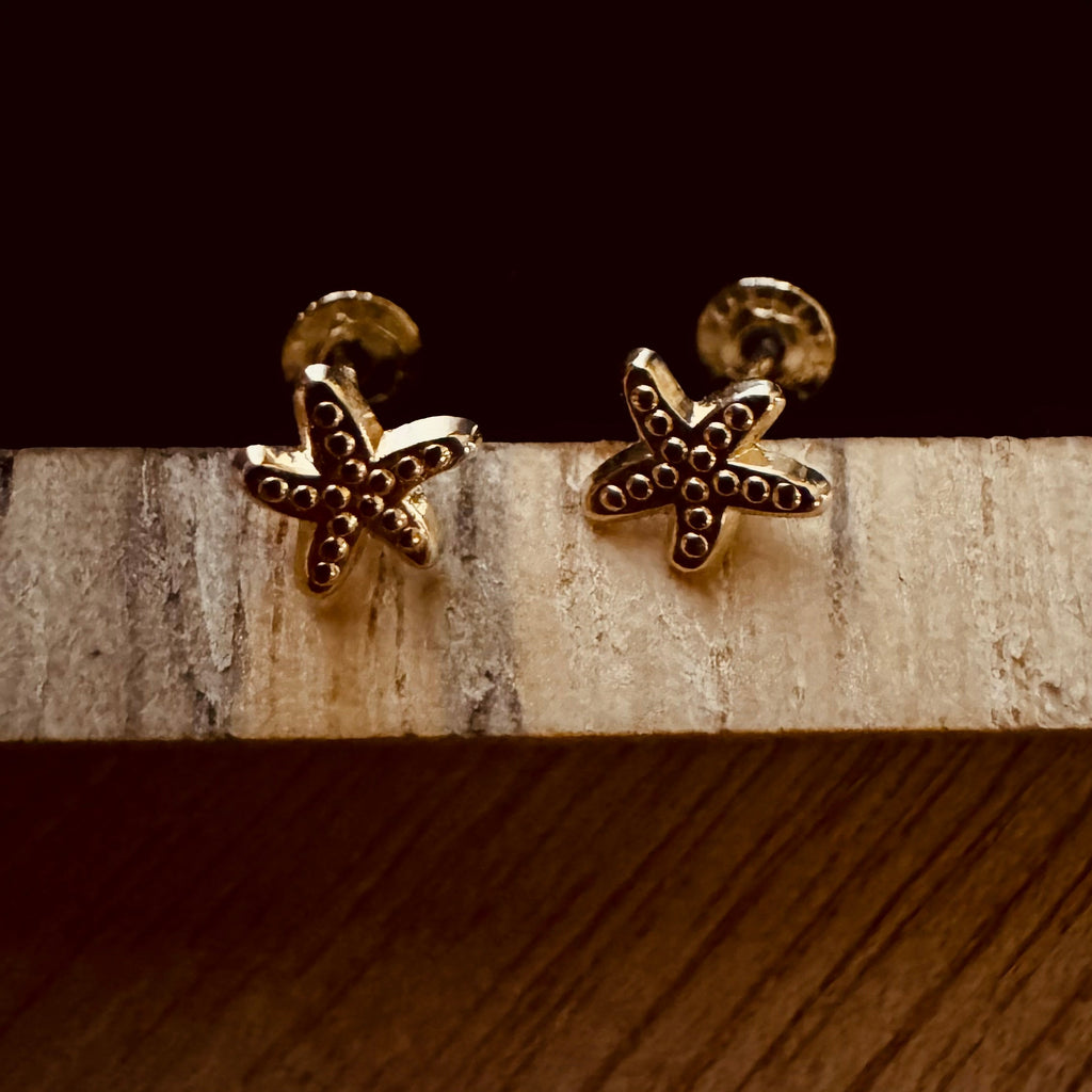 Broquel Estrellita de Mar 10k