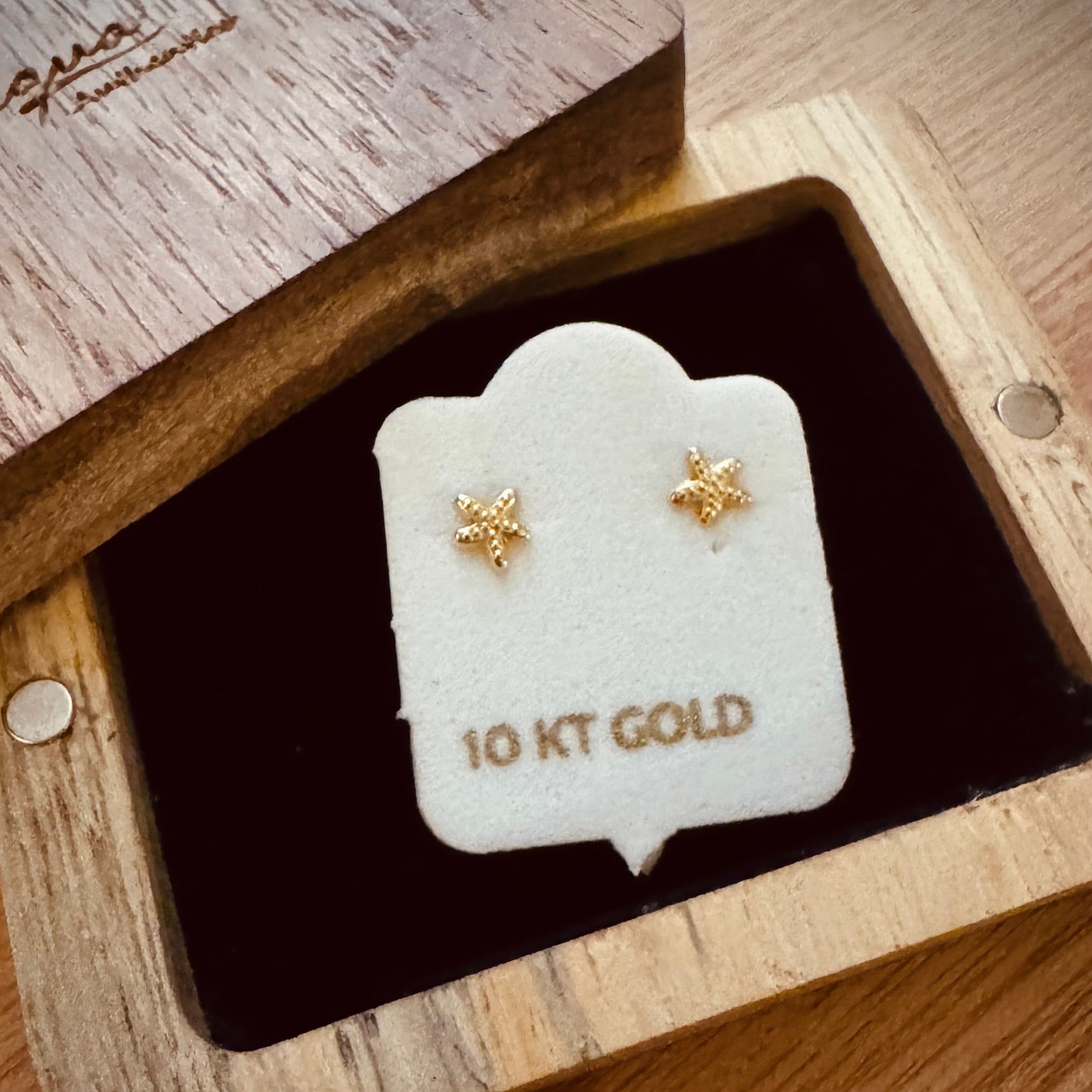 Broquel Estrellita de Mar 10k